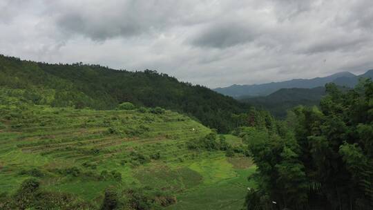 福建 德化 春美 山路 十八格盘山公路