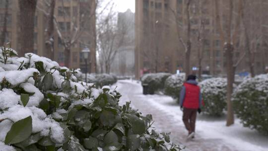 下雪天小区里行走的人升格慢动作