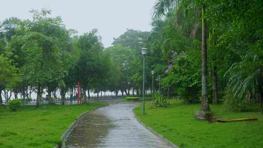 公园雨天雨景