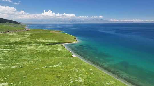 新疆赛里木湖草原湿地自然风光航拍