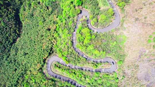 中国萧山寺坞岭乡村竹海中弯曲的盘山公路