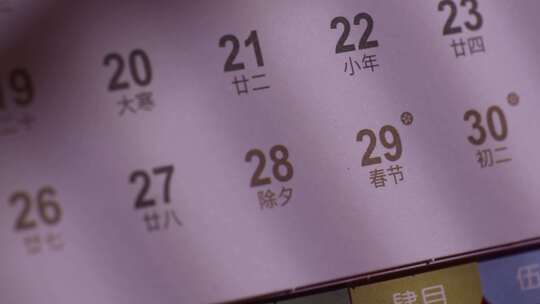 2025蛇年日历春节除夕