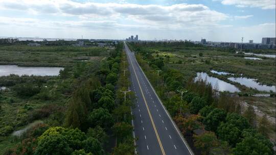 漂亮的公路