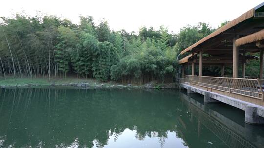 杭州西湖景区植物园