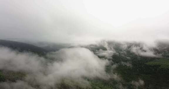山林中的云雾缭绕