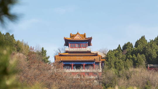 诸城 延时摄影   城市空镜头 古建筑