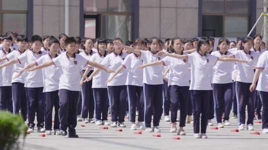 学校六一小学中学校园生活学生时代