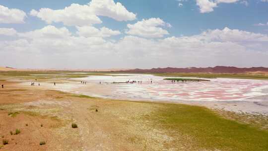 4k阿拉善沙漠中的骆驼湖视频素材模板下载