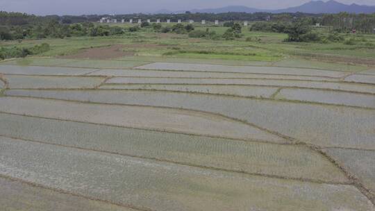 田园 田野 农田 农村 农地 耕种