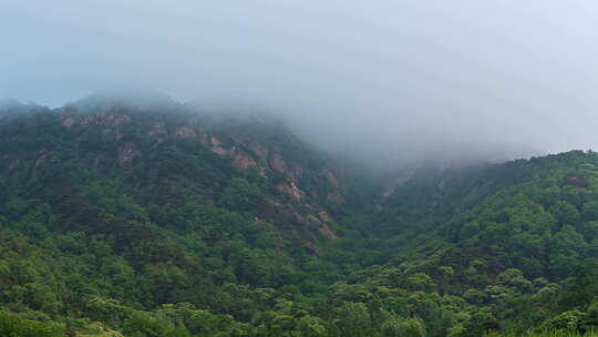 乡村振兴 绿水青山 大好河山 田园风光