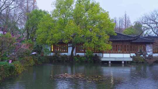 杭州西湖郭庄雨天风景