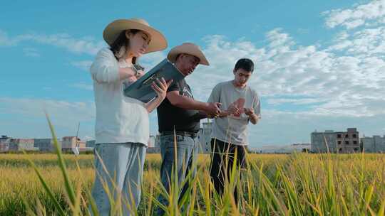 乡村振兴粮食安全返乡大学生专家学习稻谷