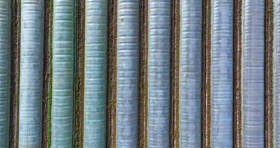 大棚种植基地航拍