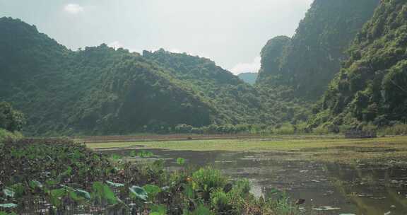 湖边青山