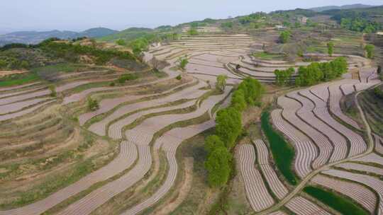 宝鸡梯田  汉封梯田