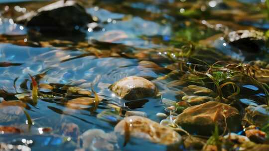 溪流鹅卵石清澈见底清新自然特写视频