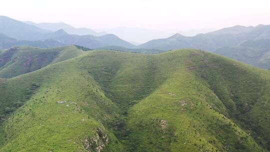 山区植被视频素材模板下载