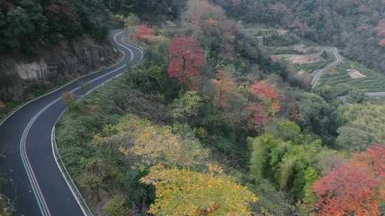 杭州富阳墅溪村林峰山森林秋色航拍