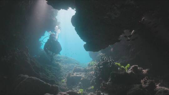 潜水员在海底潜水视频素材模板下载