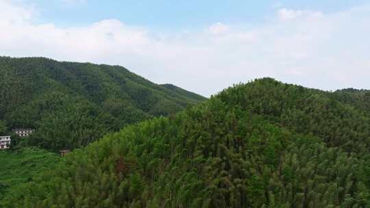 蓝天白云航拍美丽和美乡村大面积竹海、稻田