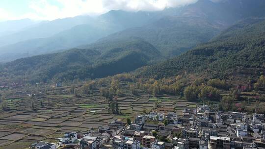 云南大理梯田农田树林森林稻田田地视频素材模板下载