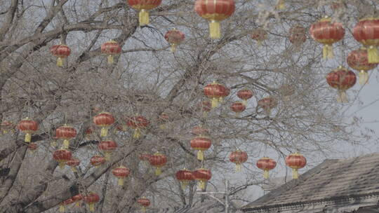 北京胡同过年街景气氛 春节街景氛围