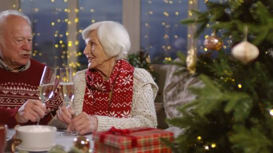 圣诞节老年夫妻举杯共饮视频素材模板下载