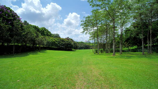 蓝天阳光草坪公园草地绿地