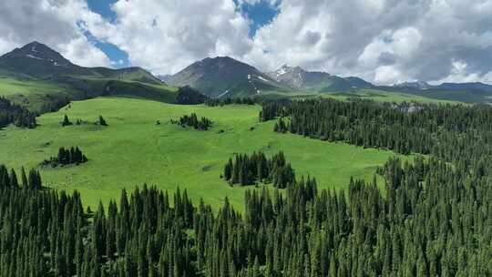 新疆伊犁独库公路草原树林河流雪山天山