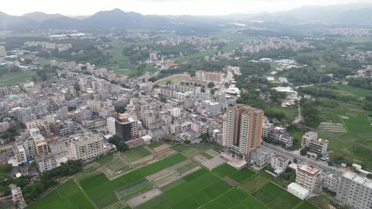 广东茂名城镇景观