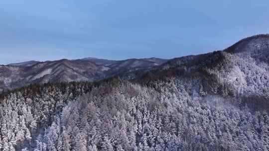 航拍东北下暴雪林海雪原威虎山