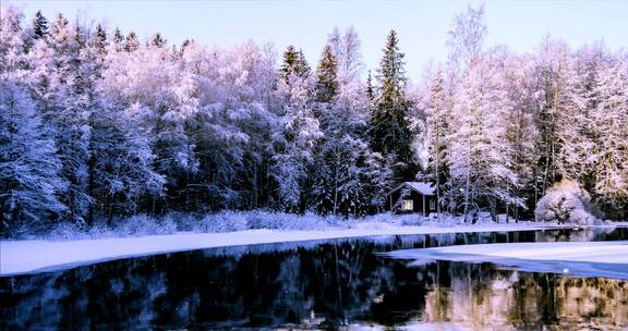 大自然冬天 美丽的森林树木河流雪景特写