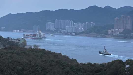 香港城市港口集装箱船与拖船全景航拍