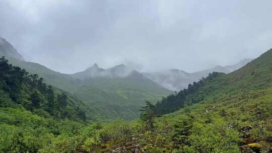 航拍四川甘孜磨西镇海螺沟高山草甸河谷风光