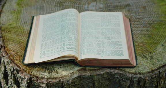 圣经印刷开放的神圣古籍宽老树桩自然背景