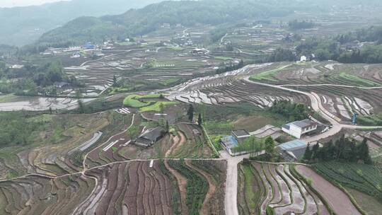 乐山沙湾四峨山梯田