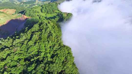 航拍高山森林云海云雾