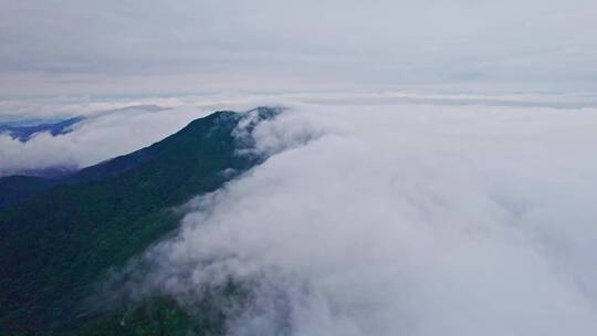 深圳梧桐山