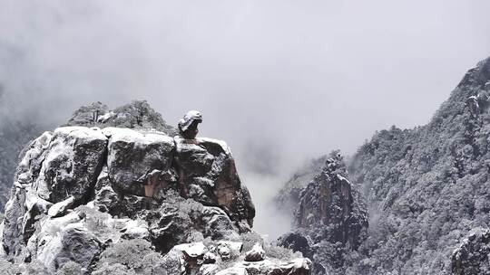 被雪覆盖的山峰景色 猴子观海