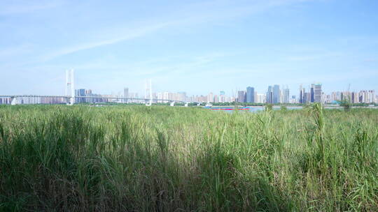 武汉江岸区汉口江滩蓝天白云风景