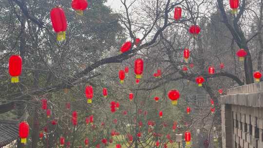 过年古树古建筑红灯笼装饰新年气氛1