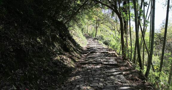 浙江余姚丹山赤水景区风光