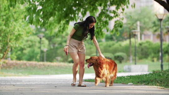 美女和金毛犬在夏天公园里玩耍