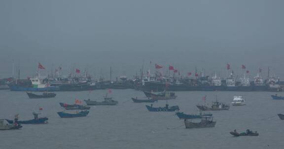 渔船停在港湾里