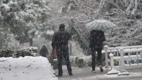 城市下大暴雪