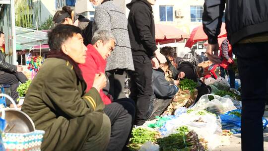 东北农村春天山野菜集市