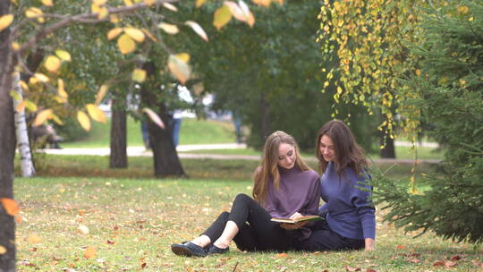 在公园里阅读的女孩