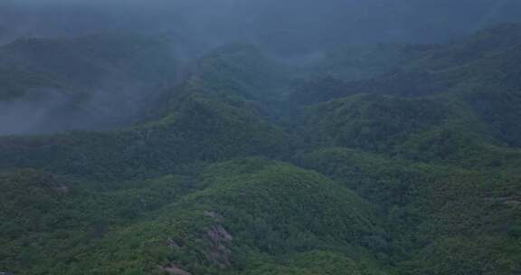 河北金山岭万里长城清晨晨雾高空航拍