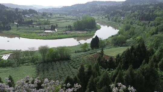 四川盆地丘陵山野花开