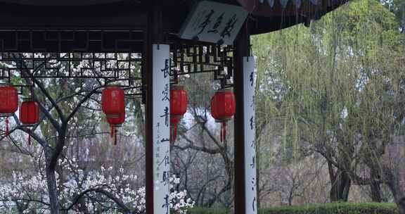 唯美梅花古亭古建筑局部特写